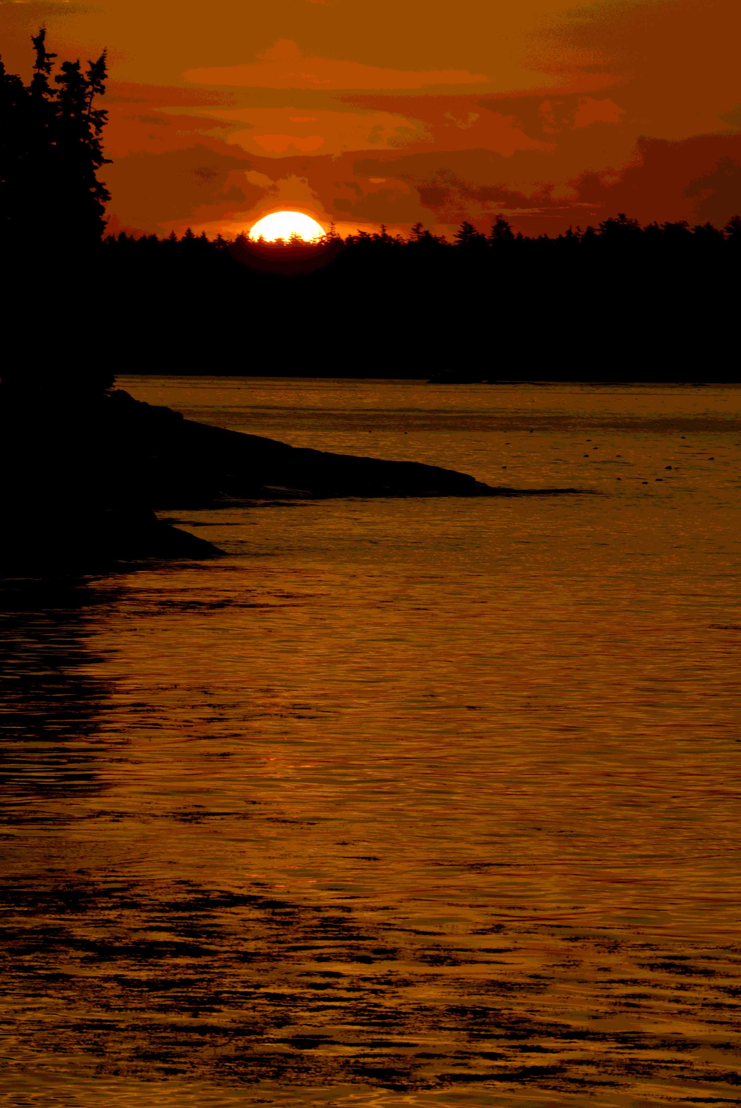 Copyright © 2014Michael R. EddyAll rights reserved